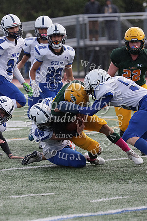 SHP_fb-f_22