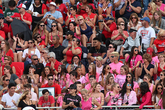 MNP_053_fb