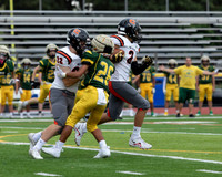 SVL_fb-j_18