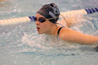 WMC_201_sw-g