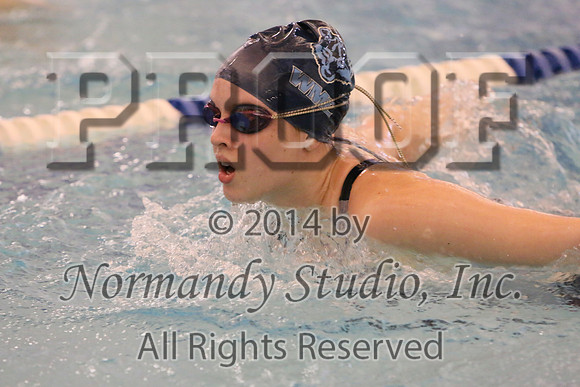 WMC_201_sw-g