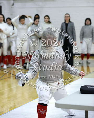 BER_fe-g_029