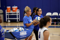 UCH_vb-g_12