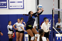 UCH_vb-g_14
