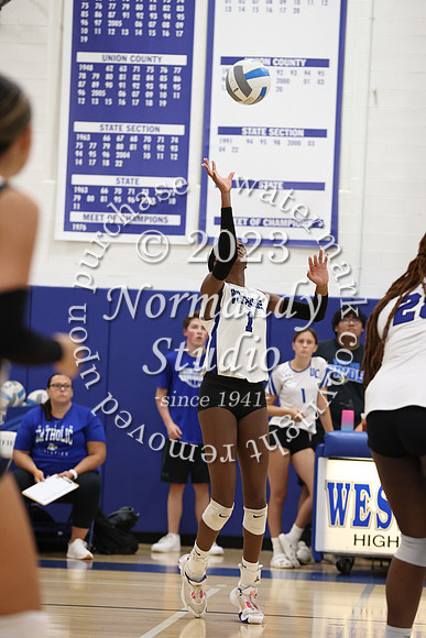 UCH_vb-g_42