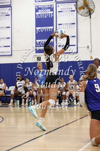 UCH_vb-g_65