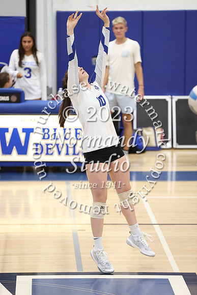 WHS_vb-g_03