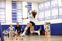 WHS_vb-g_02