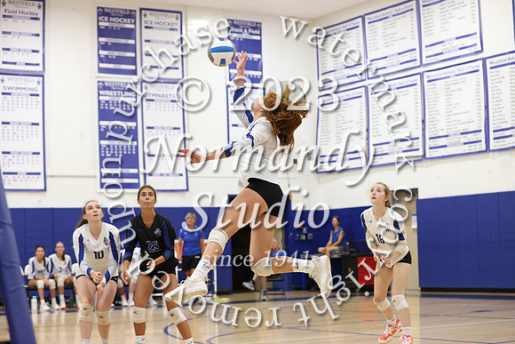 WHS_vb-g_02