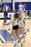 WHS_vb-g_06