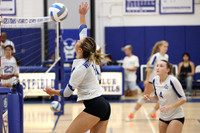 WHS_vb-g_10