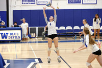 WHS_vb-g_17