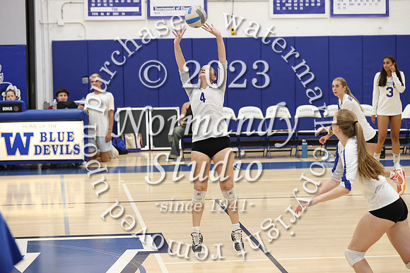 WHS_vb-g_17