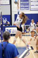WHS_vb-g_20