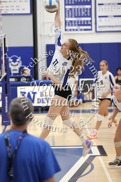 WHS_vb-g_20