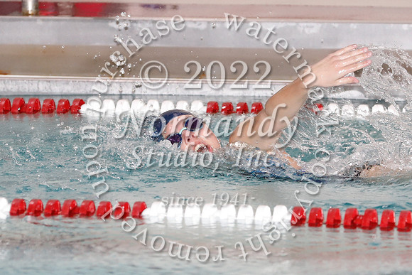 WMC_48_sw-g