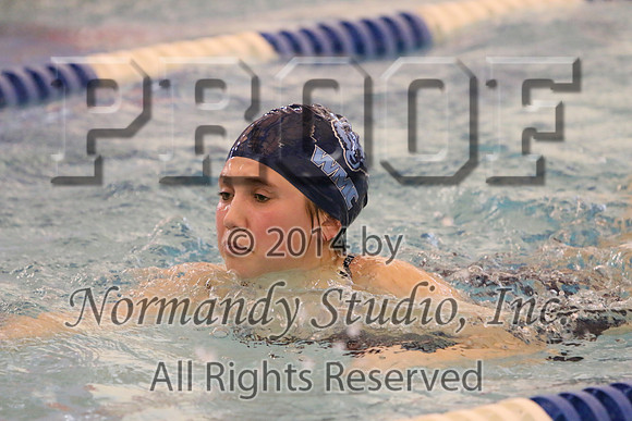 WMC_198_sw-g