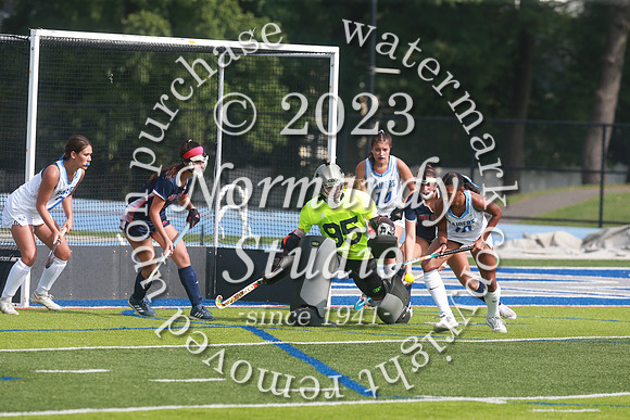 SPF_fh_96