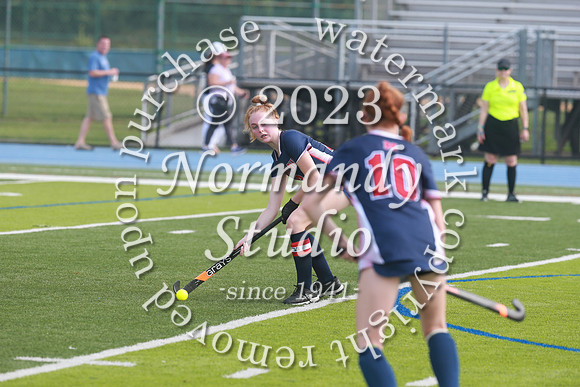 MSM_fh_38