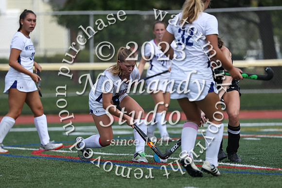 WHS_fh_38