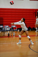 LIB_vb-g-v_08