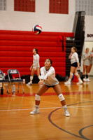 LIB_vb-g-v_10