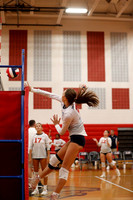 LIB_vb-g-v_15