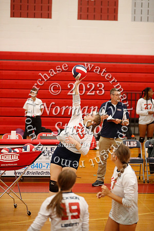 LIB_vb-g-v_39