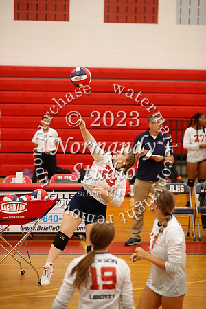 LIB_vb-g-v_40