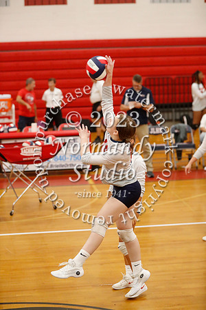LIB_vb-g-v_50