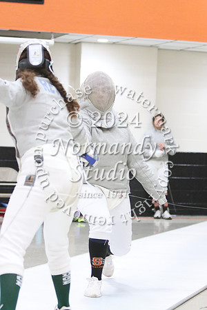 SVL_fe-g_23