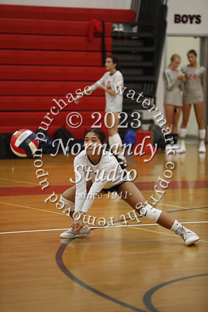 LIB_vb-g-v_01