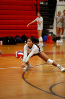 LIB_vb-g-v_02
