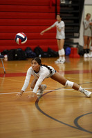 LIB_vb-g-v_04