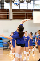 CHS_vb-g-v_12