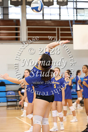 CHS_vb-g-v_12
