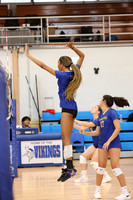 CHS_vb-g-v_15