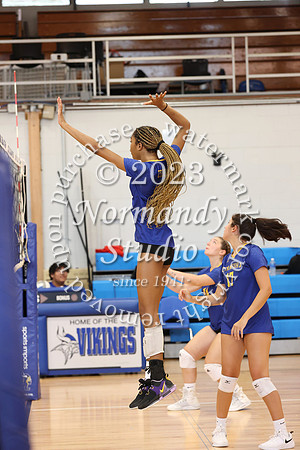 CHS_vb-g-v_15