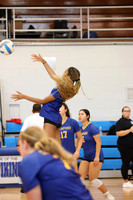 CHS_vb-g-v_16