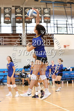 CHS_vb-g-v_22