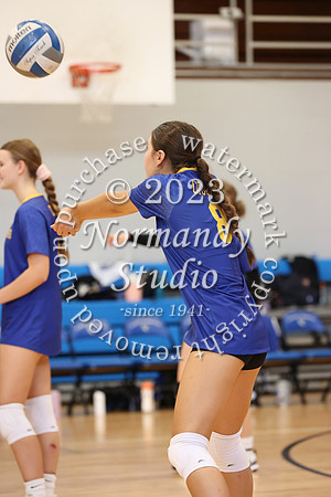 CHS_vb-g-v_21