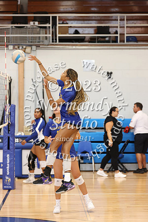 CHS_vb-g-v_18