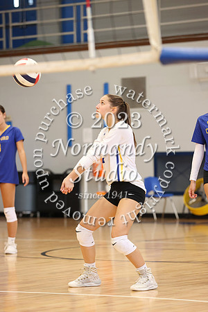 CHS_vb-g-v_29