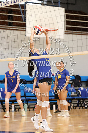 CHS_vb-g-v_31