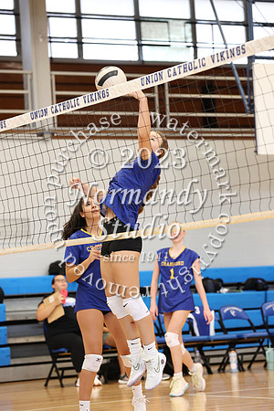 CHS_vb-g-v_28