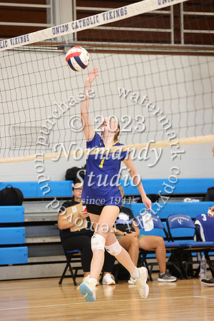 CHS_vb-g-v_33