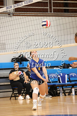 CHS_vb-g-v_35