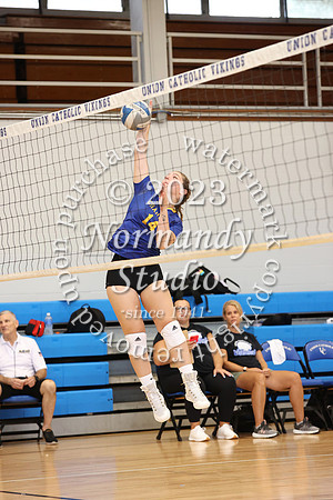 CHS_vb-g-v_37