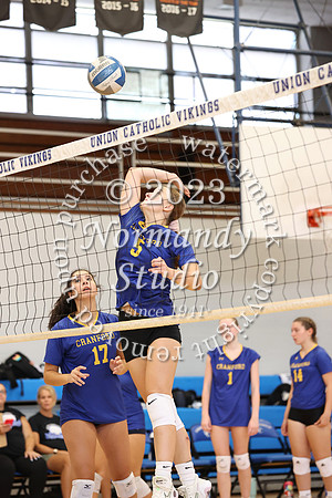 CHS_vb-g-v_38