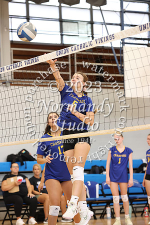 CHS_vb-g-v_39